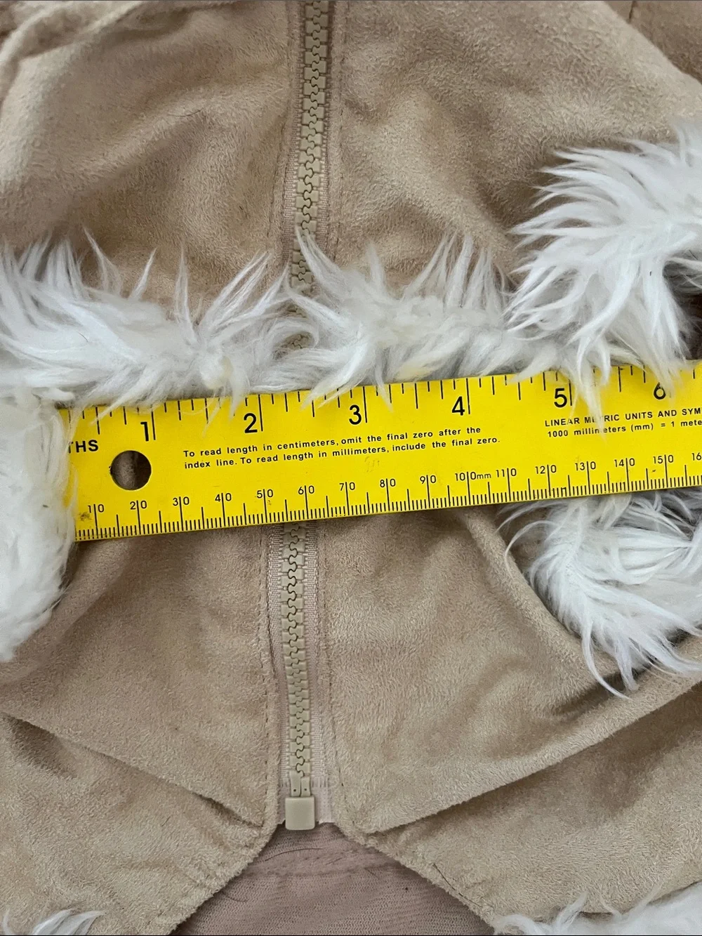 Petco dickies closet